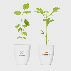 Boîte aux lettres Treemore Arbres