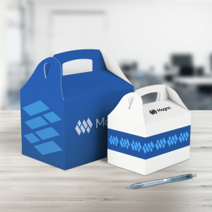 Boîtes cadeaux à poignée